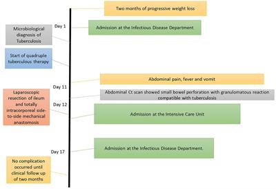 Totally laparoscopic treatment of intestinal tuberculosis complicated with bowel perforation: The first case report in worldwide literature with a brief review